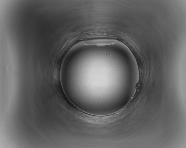X0000116390035200912091443