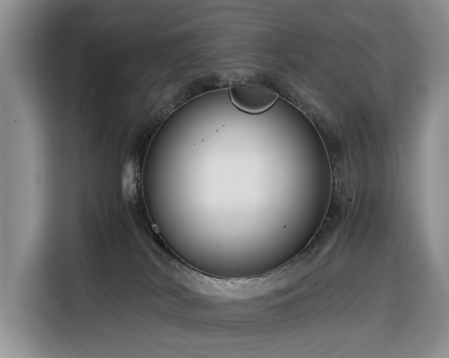 X0000116390038200912091443