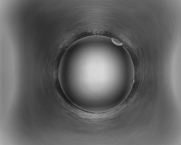 X0000116390039200912091443