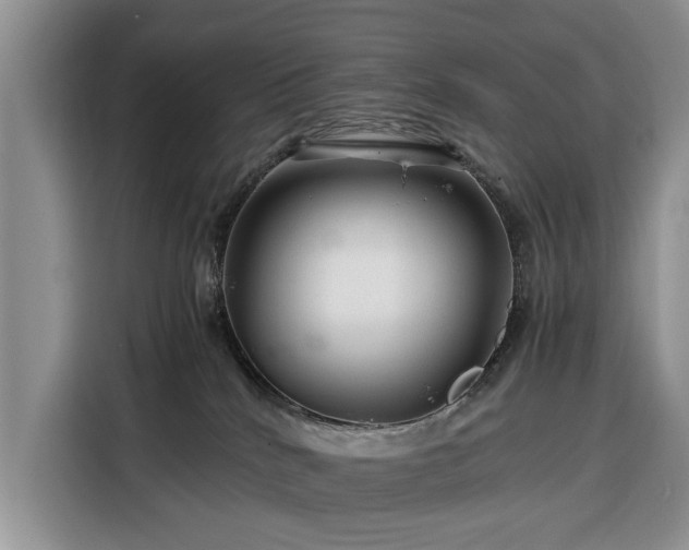 X0000116390040200912091443