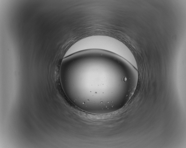 X0000116390043200912091443