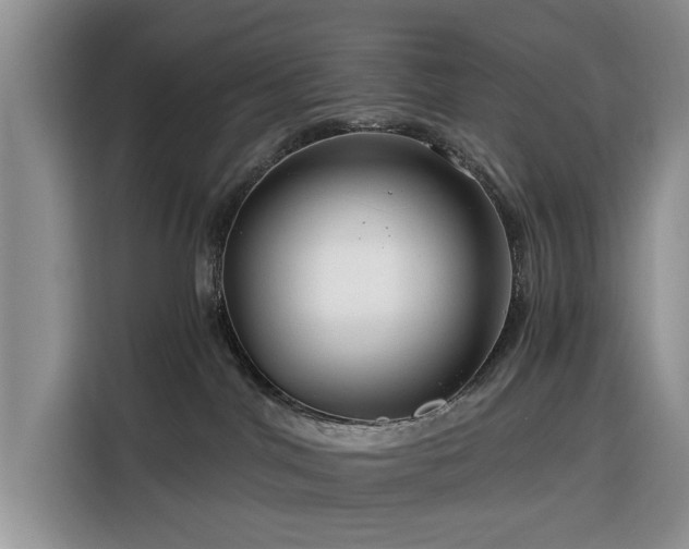 X0000116390044200912091443
