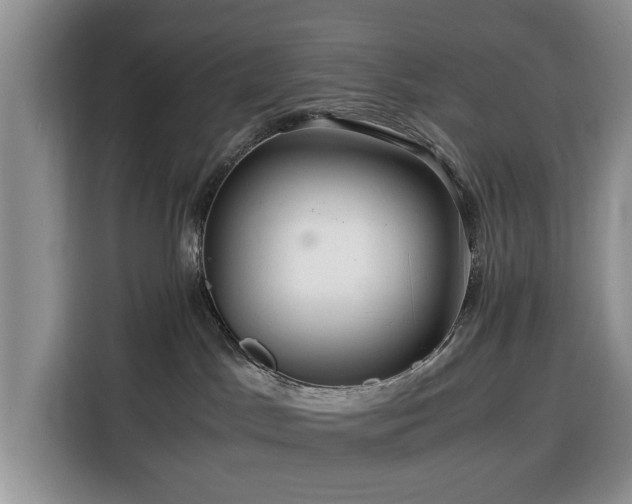 X0000116390045200912091443