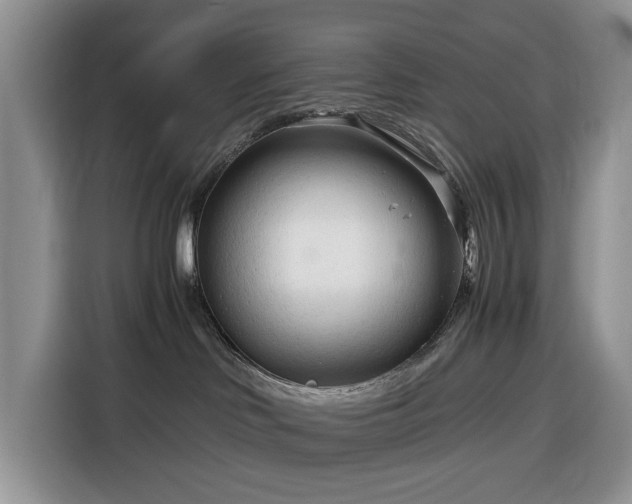 X0000116390046200912091443