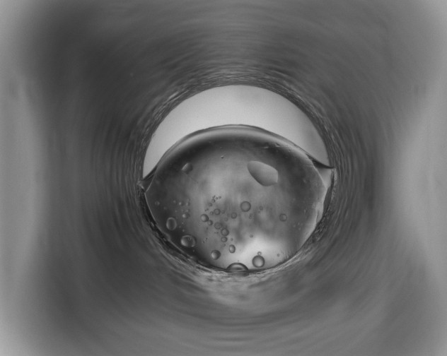 X0000116390048200912091443