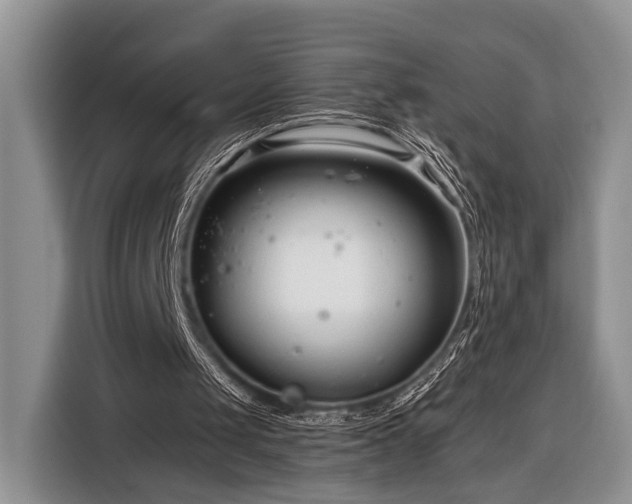 X0000116390049200912091442