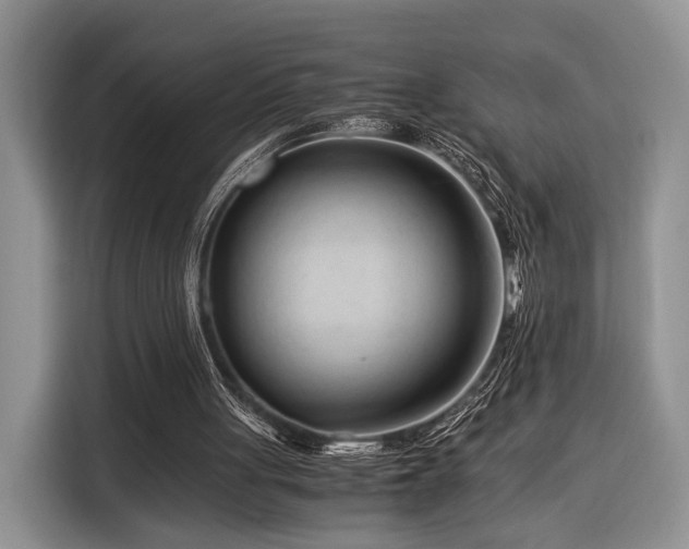 X0000116390051200912091443