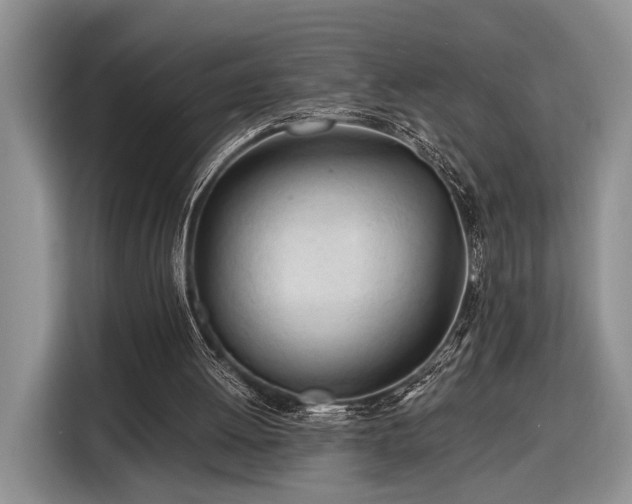 X0000116390052200912091443