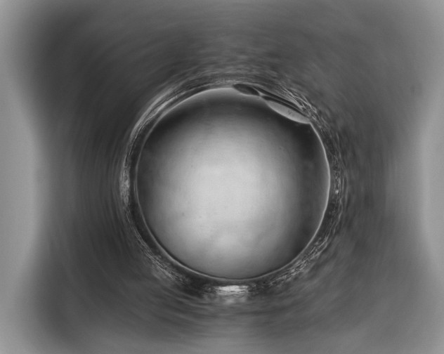 X0000116390053200912091443