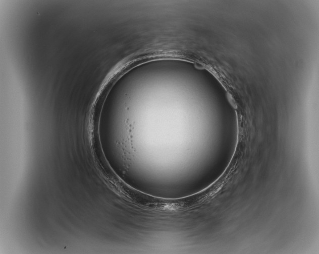 X0000116390056200912091443