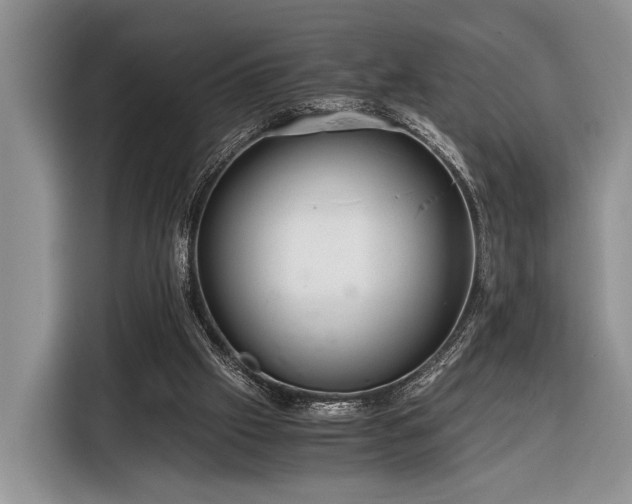 X0000116390057200912091443