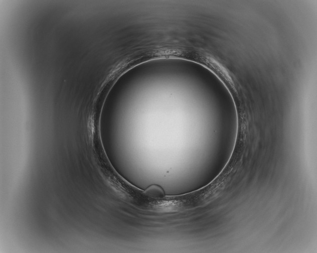 X0000116390059200912091443