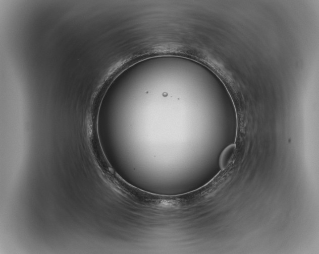 X0000116390060200912091443