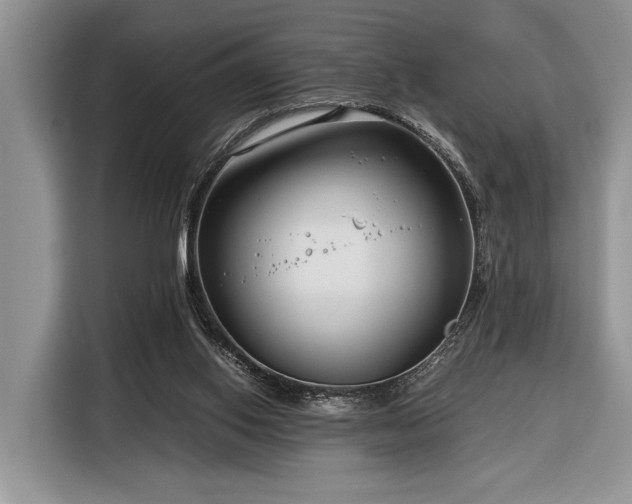 X0000116390062200912091443
