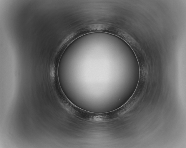 X0000116390064200912091443