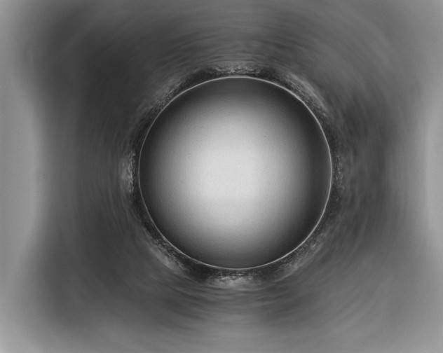 X0000116390065200912091443