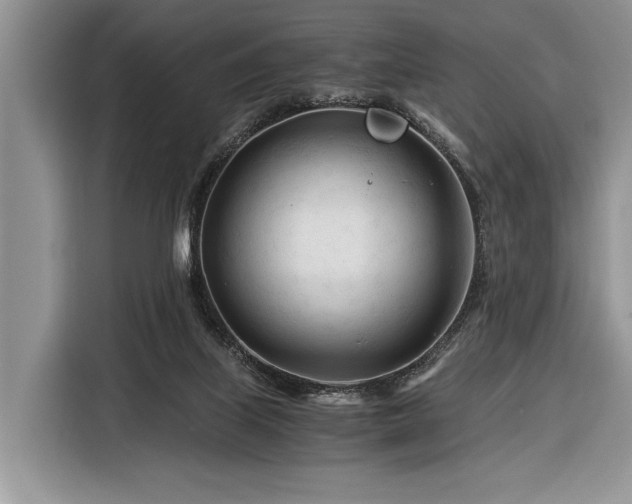 X0000116390067200912091443