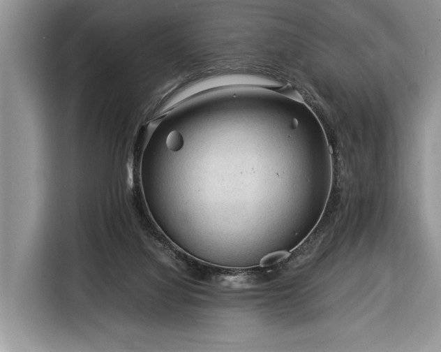 X0000116390068200912091443