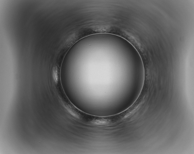 X0000116390069200912091443