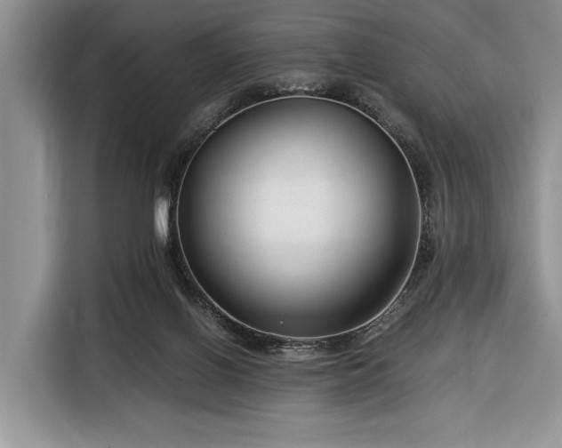 X0000116390070200912091443