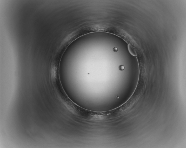 X0000116390071200912091443