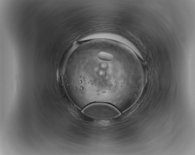 X0000116390075200912091443