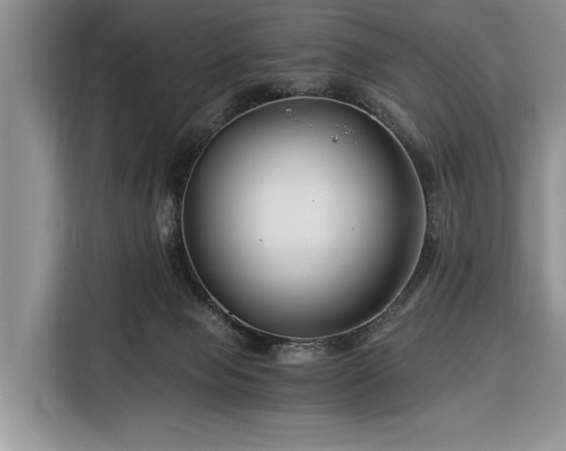 X0000116390077200912091443
