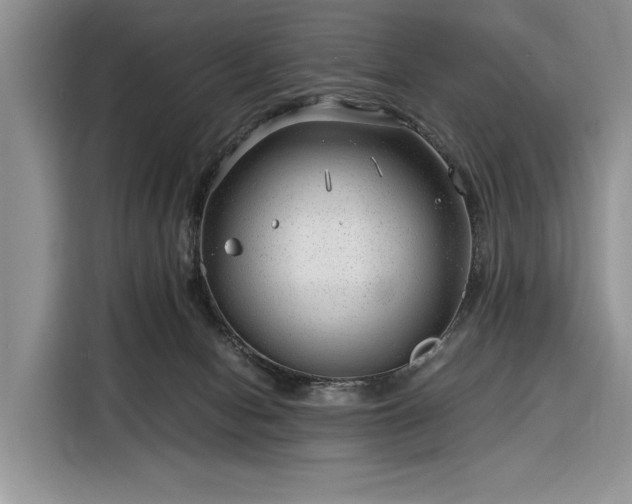 X0000116390078200912091443
