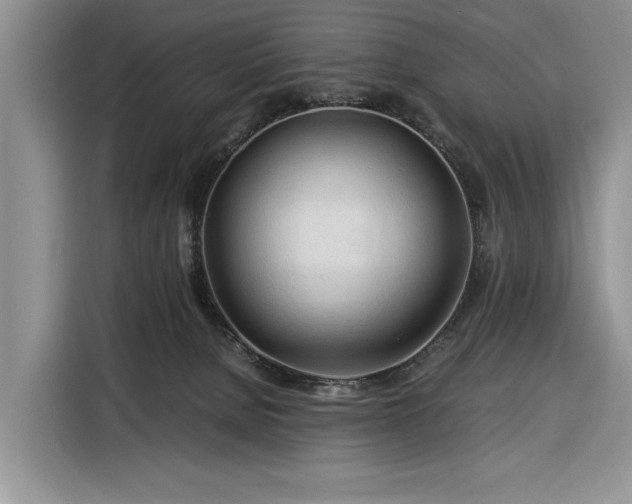 X0000116390080200912091443