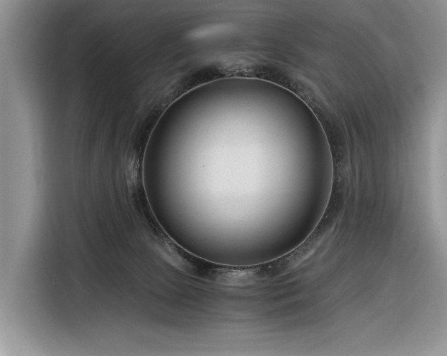 X0000116390081200912091443