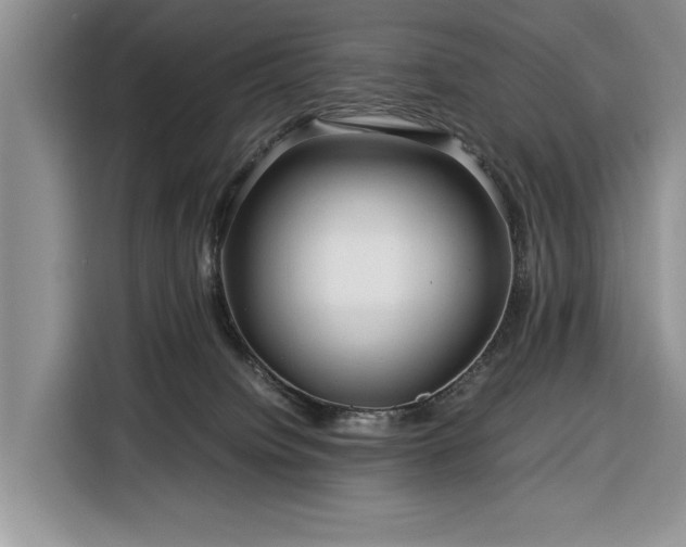 X0000116390084200912091443