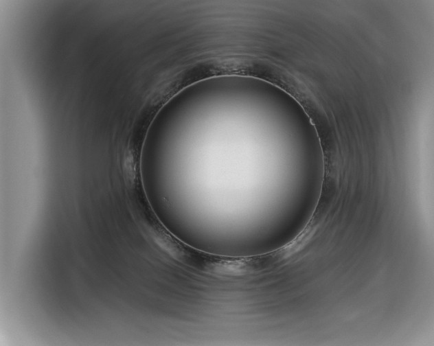 X0000116390086200912091443