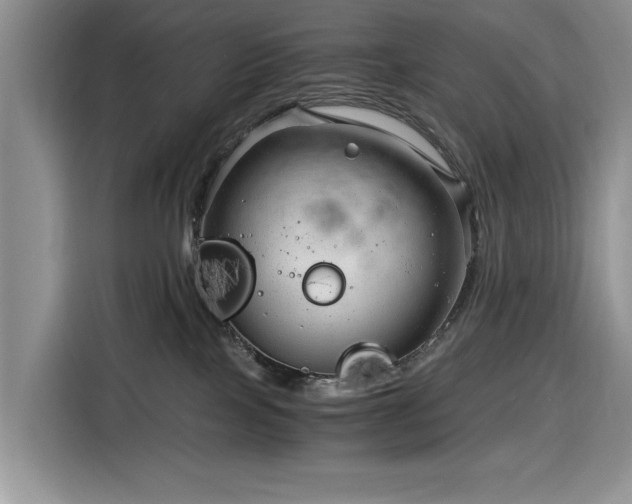 X0000116390089200912091443
