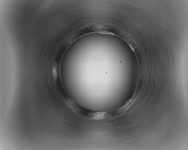 X0000116390090200912091443