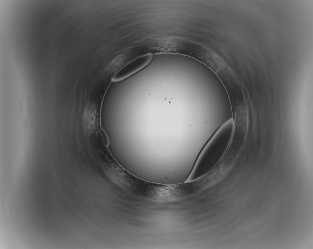 X0000116390092200912091443