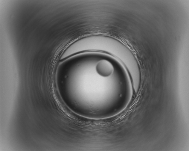 X0000116390097200912091442
