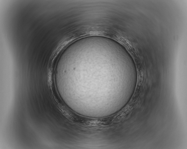 X0000116390098200912091442