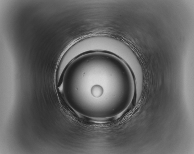 X0000116390100200912091442
