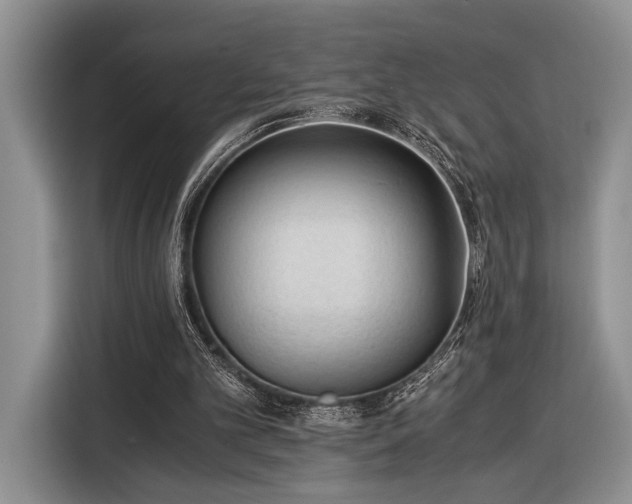 X0000116390101200912091442