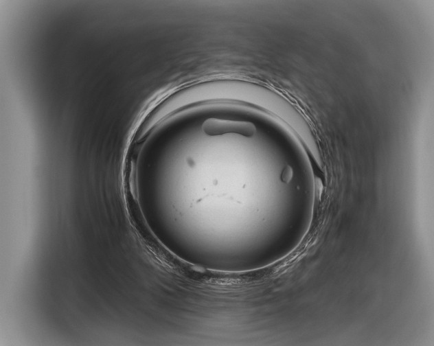 X0000116390104200912091442