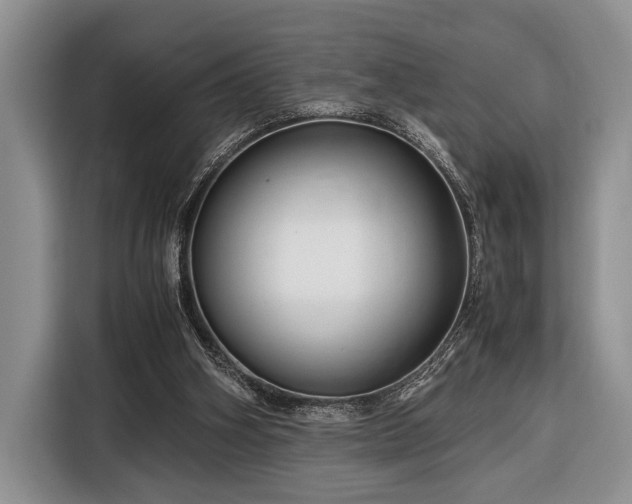 X0000116390106200912091442