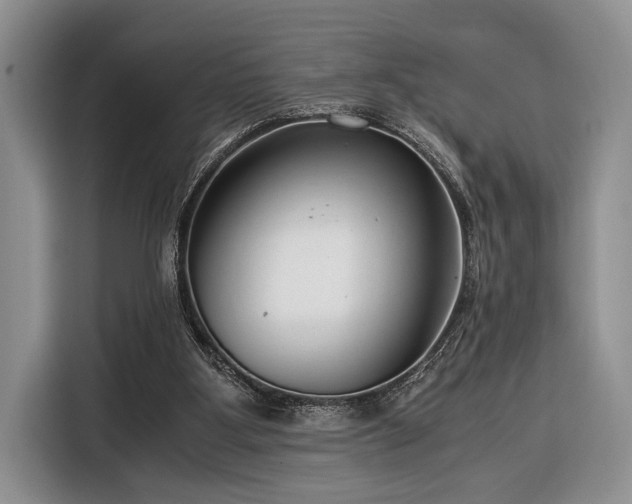 X0000116390107200912091442
