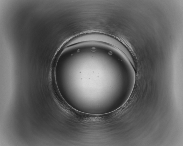 X0000116390108200912091442