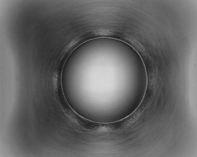 X0000116390111200912091442
