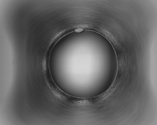 X0000116390112200912091442