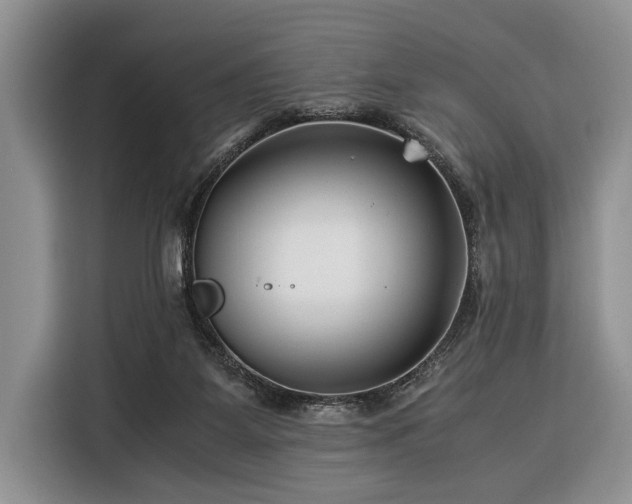 X0000116390115200912091442