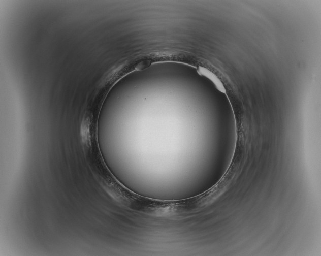 X0000116390116200912091442