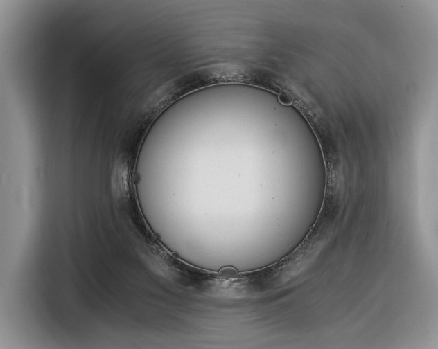 X0000116390117200912091442