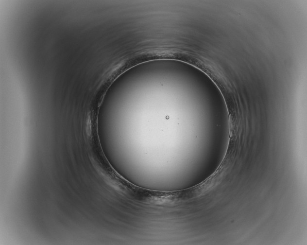 X0000116390120200912091442