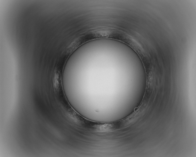 X0000116390122200912091442
